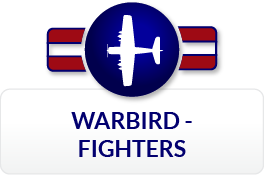 Fighters Icon 2