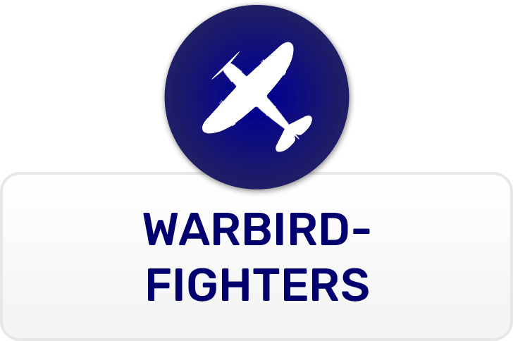 Warbird Fighters